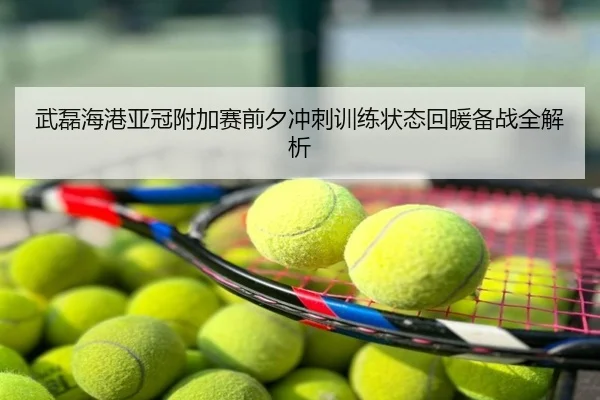 武磊海港亚冠附加赛前夕冲刺训练状态回暖备战全解析